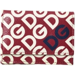Dolce & Gabbana Multicolor DG Logo Mania French Flap Leather Wallet