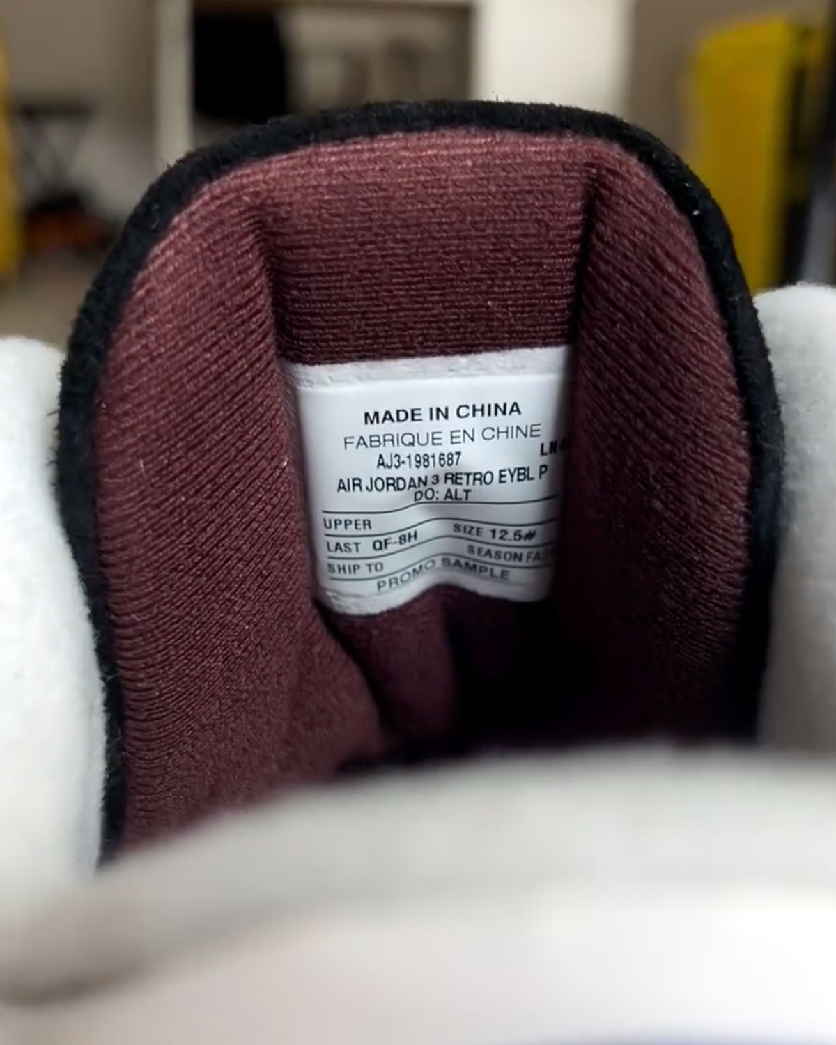 Air Jordan 3 Eybl Sample 6